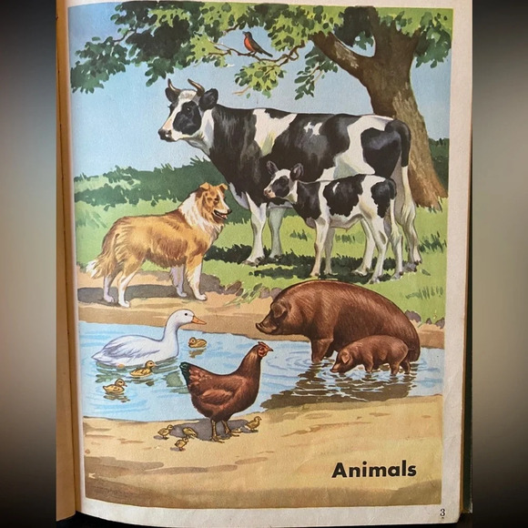 VINTAGE 1943 Look and Learn by Scott Foresman & Co Children’s Book - Picture 6 of 13